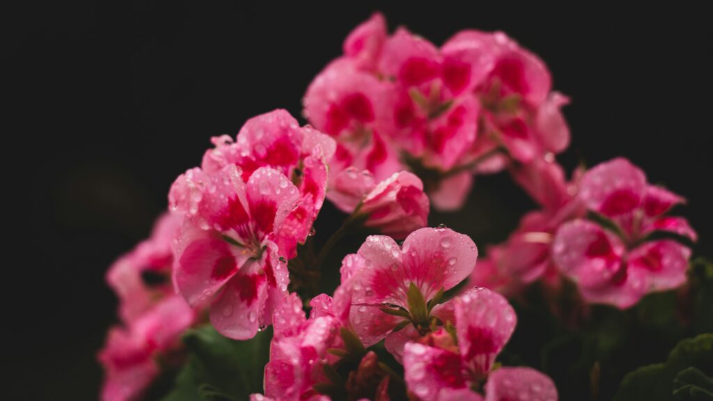 le-mucky-aZExs-TYK8s-unsplash